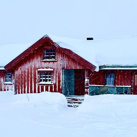 Large Cabin Sjusjoen Best View, Sauna, Ski Inout Eksteriør bilde